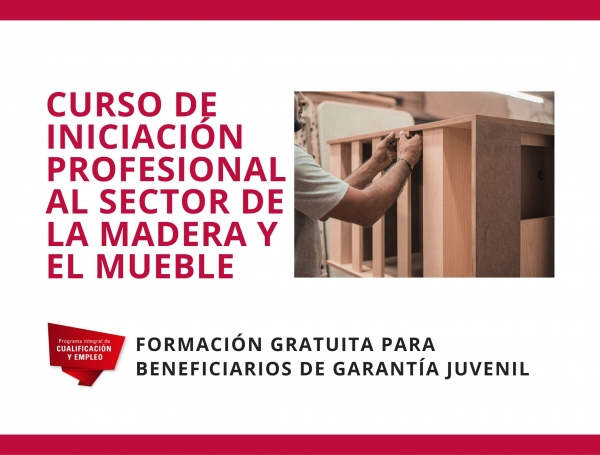 Garantía Juvenil: iniciación profesional al sector de la madera y al mueble